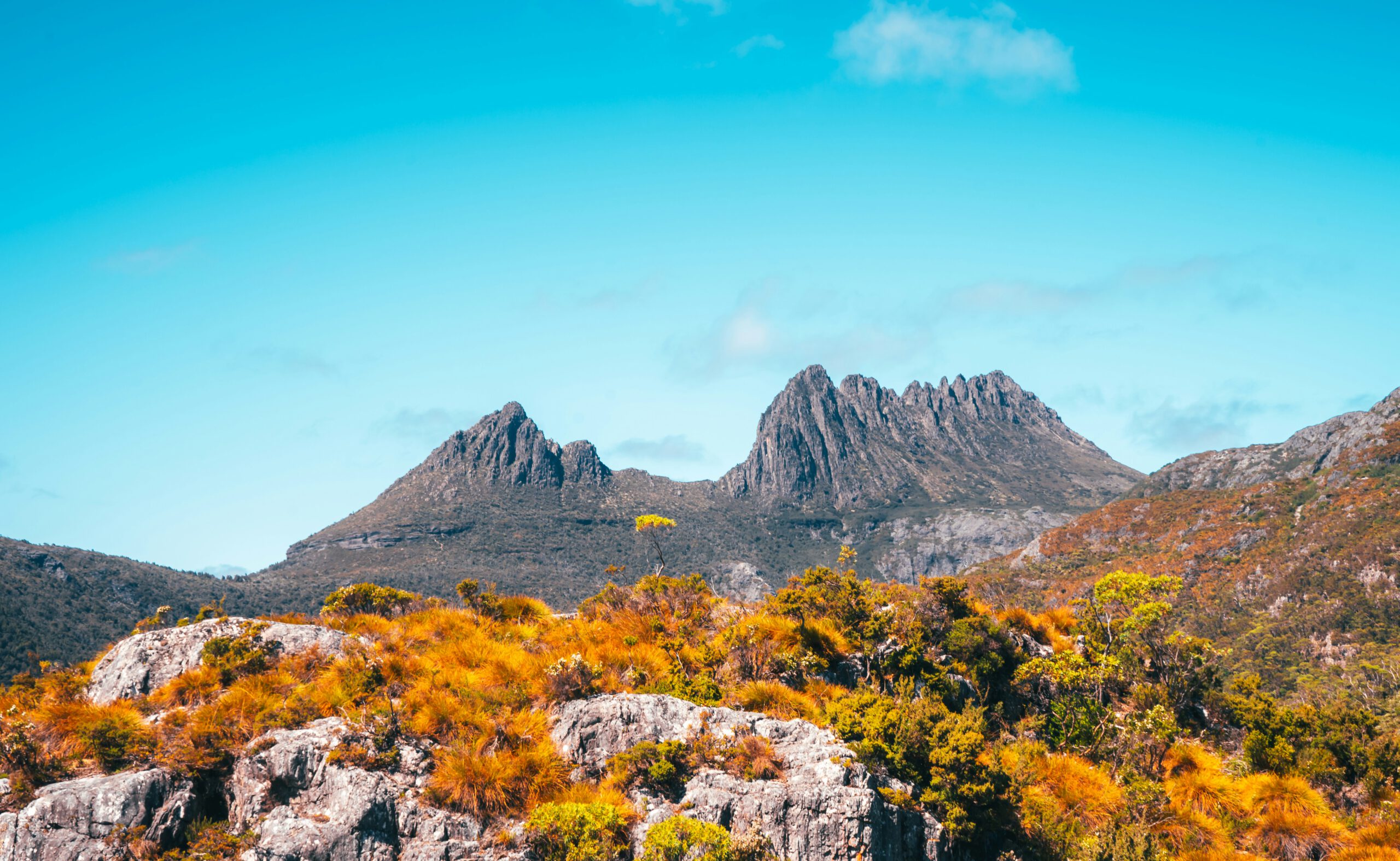 laura-smetsers-tBhJp-i-cIw-unsplash