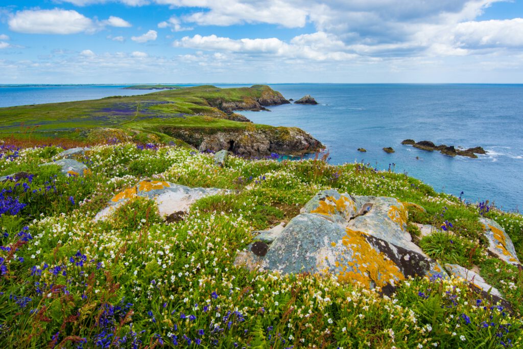 15 motivos para você escolher a Irlanda como destino de intercâmbio